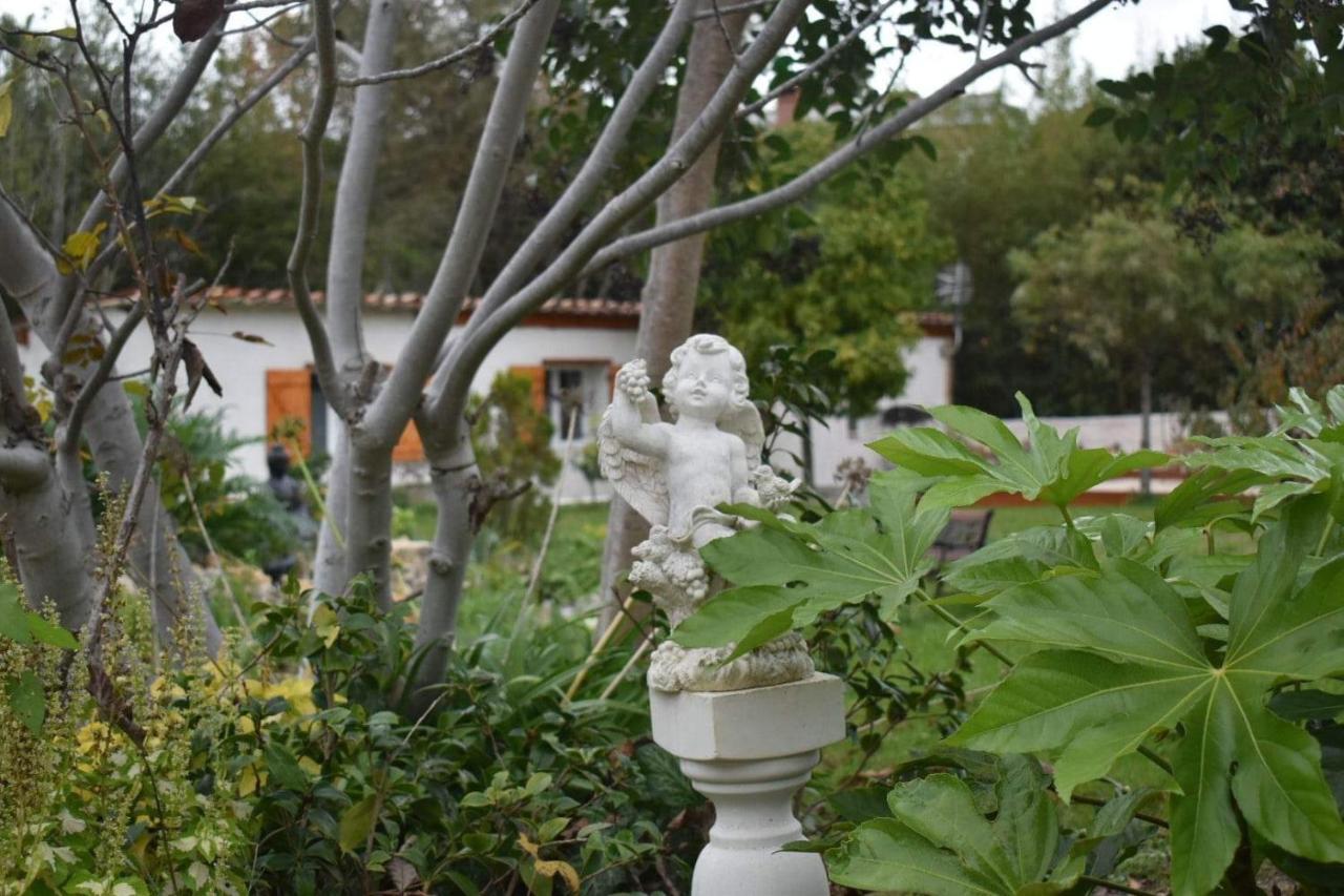 L'Oranger - Magnifique Studio Independant Sur Mougins Avec Jacuzzi Prive - Parking - Climatisation Экстерьер фото